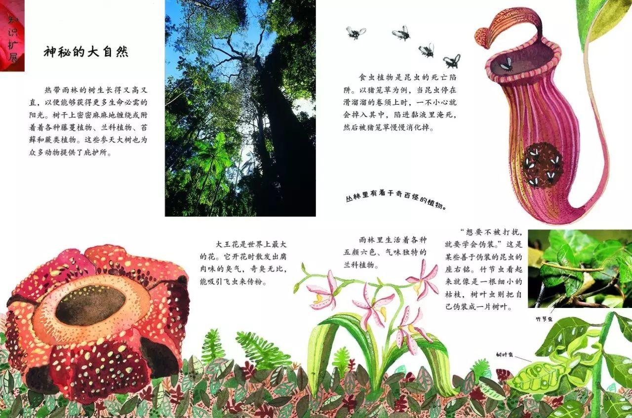 孩子生存指南 | 意外