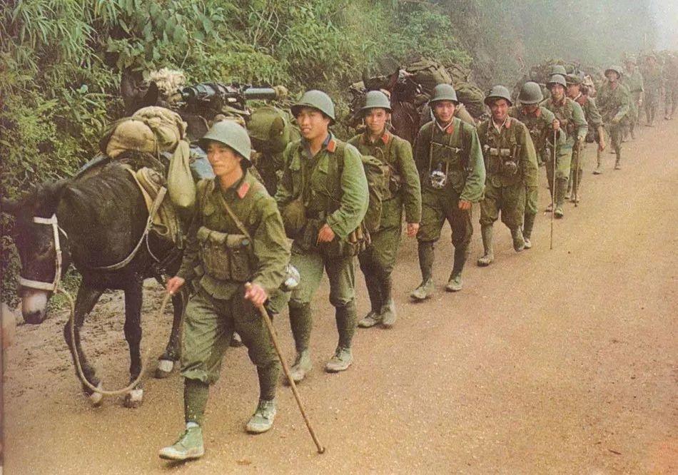 2018都市打人指南