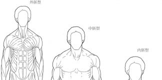 体型分类（somatotype）