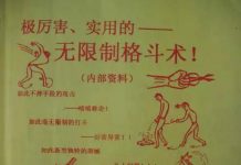 无限制格斗——拒绝未成年者翻阅,禁止法制观念浅薄者学习 陈鹤皋——无限制格斗术
