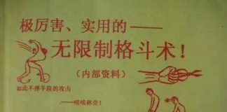 陈鹤皋——无限制格斗术